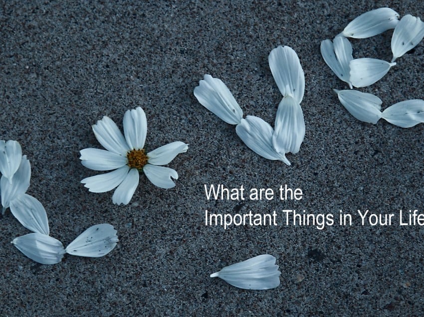 What are the Important Things in Your Life