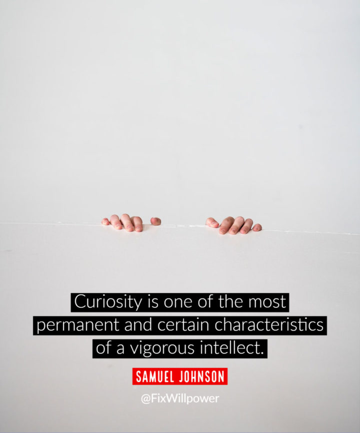 curiosity quotes johnson