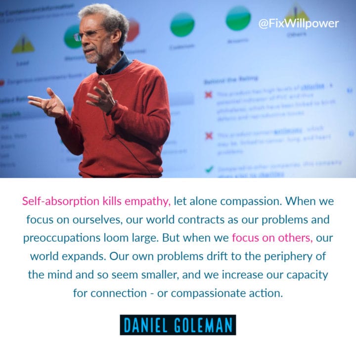 different perspective Daniel Goleman