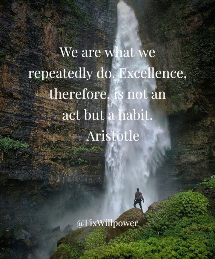 excellence quote Aristotle