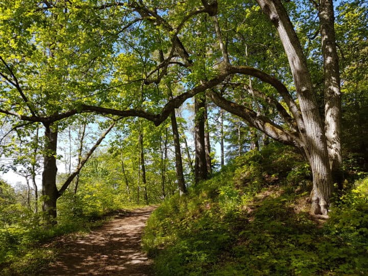 first ultra run course