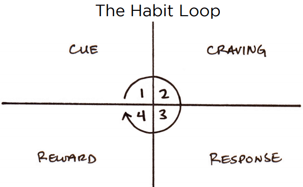 habit loop
