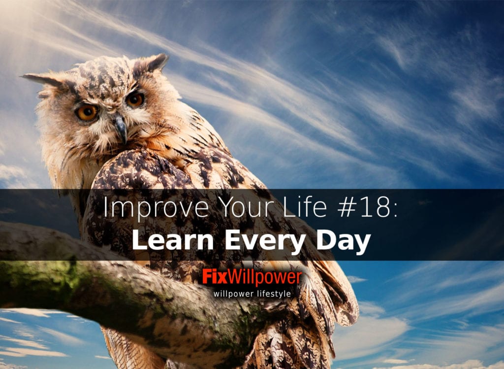 learn every day