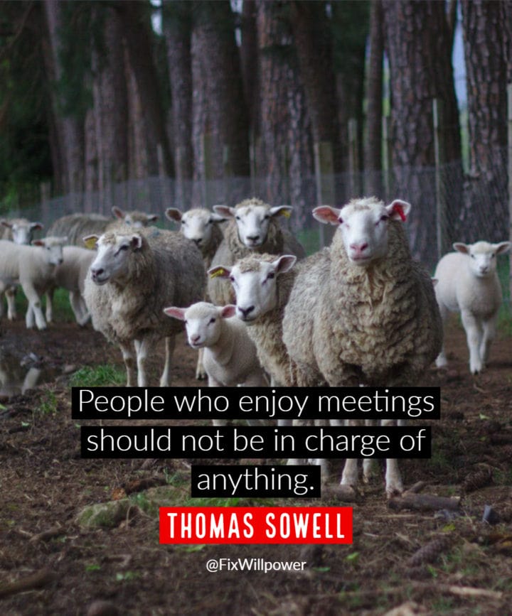 meetings quotes Sowell