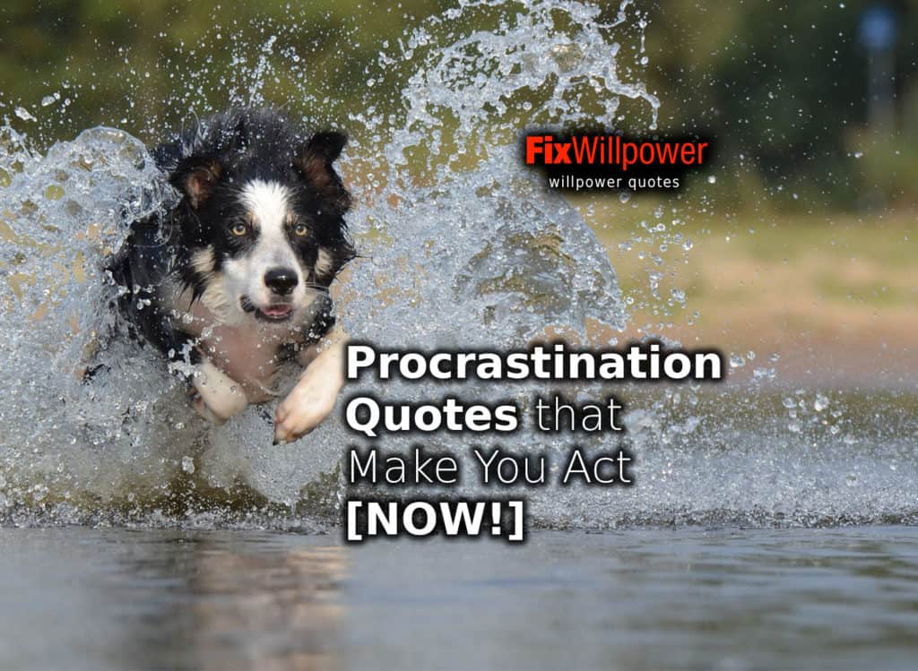 procrastination quotes