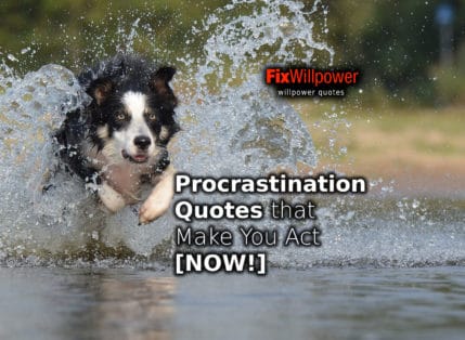 Read more about the article Procrastination Quotes that Inspire You to Act [NOW!]