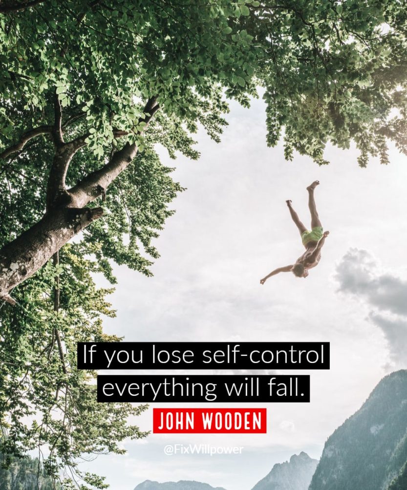 Willingness: The Secret to Double Your Self-Control [2 VIDEOS ...