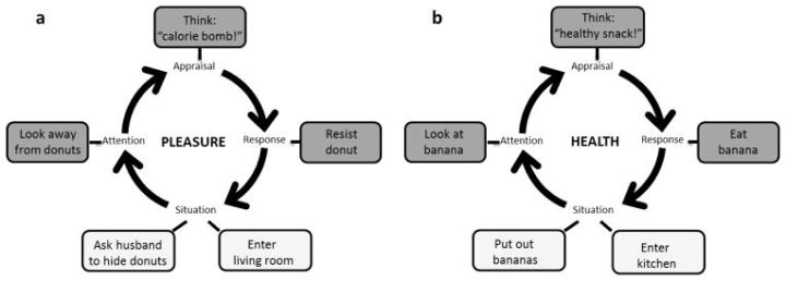 Situational Strategies for Self-Control 2