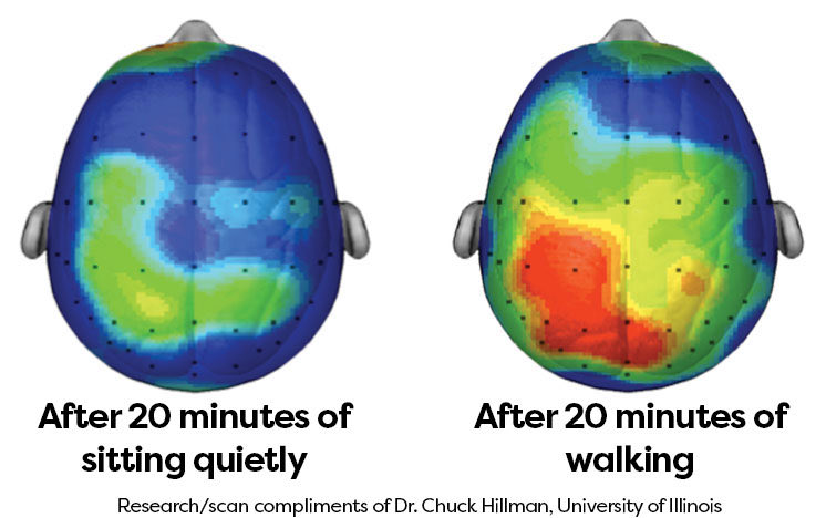walking brain